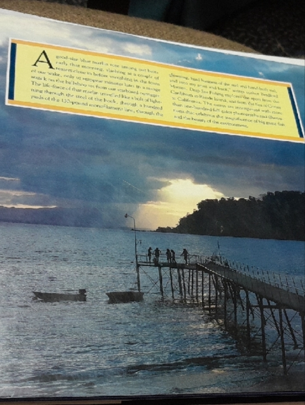 Deep Sea Fishing Coffee Table Book - Blue and Yellow Cover - Picture 2 of 2